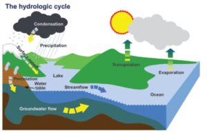 A diagram of the hydrological cycle. The diagram shows the water cycle, including evaporation, condensation, precipitation, and surface runoff.