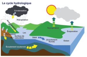 Schéma du cycle hydrologique. Le schéma montre le cycle de l'eau, y compris l'évaporation, la condensation, les précipitations et le ruissellement de surface.